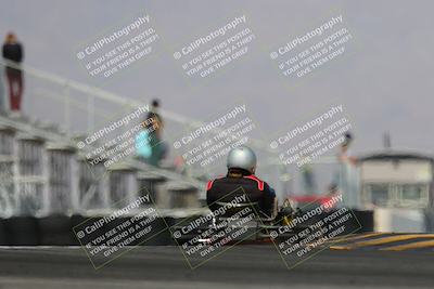 media/Mar-29-2025-Pro Autosports (Sat) [[89b1c017ad]]/6-Purple Group/Qualifying Session/